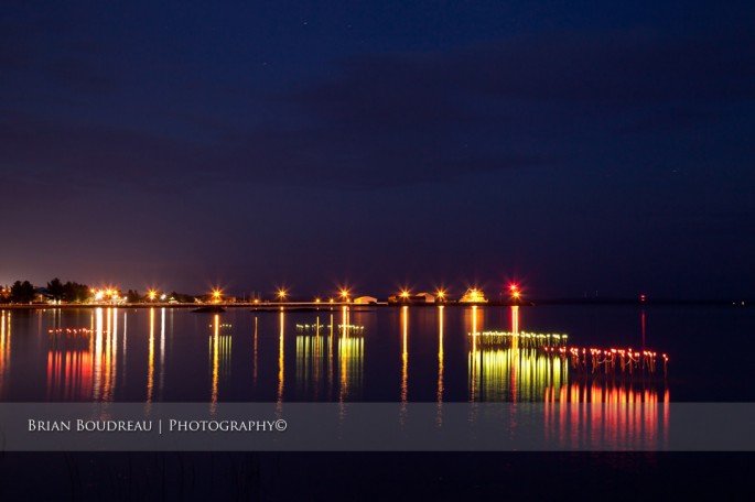 The Bulrush Project  with Government Dock in background