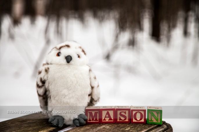 Owl & Mason owl & Mason