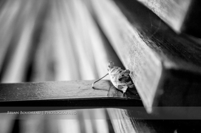 Alone-on-a-Bench